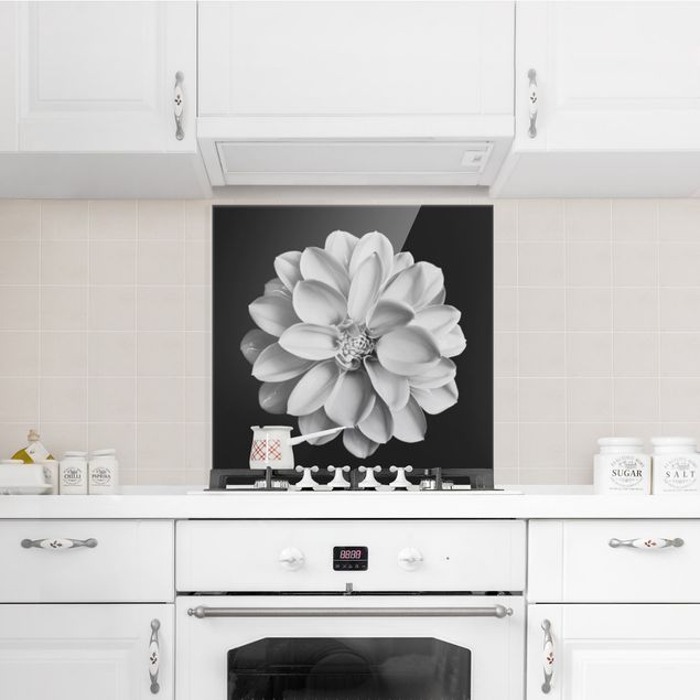 Küchenrückwand Glas Blumen Zarte Dahlie in Schwarz-Weiß