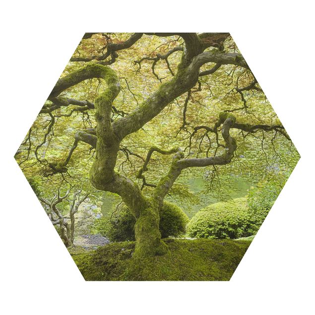 Hexagon Bild Alu-Dibond - Grüner Japanischer Garten