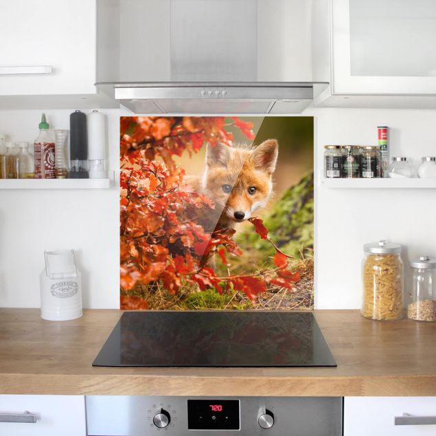 Küchenrückwand Glas Motiv Wald Fuchs im Herbst