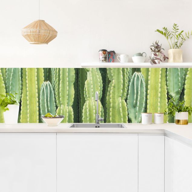 Küchenrückwand Blumen Kaktus Wand