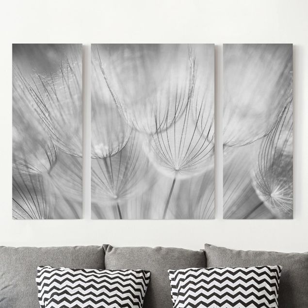 Leinwandbilder XXL Pusteblumen Makroaufnahme in schwarz weiß
