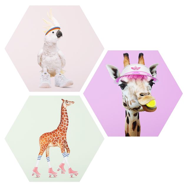 Hexagon Bilder Giraffen und Kakadu Sport Set I