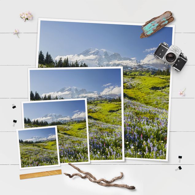 Poster - Bergwiese mit Blumen vor Mt. Rainier - Quadrat 1:1