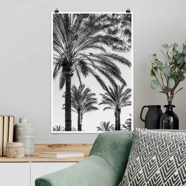Blumenposter Palmen im Sonnenuntergang Schwarz-Weiß