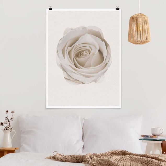 Blumen Poster Wasserfarben - Pretty White Rose