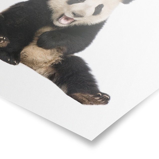 Wandbilder Lachender Panda