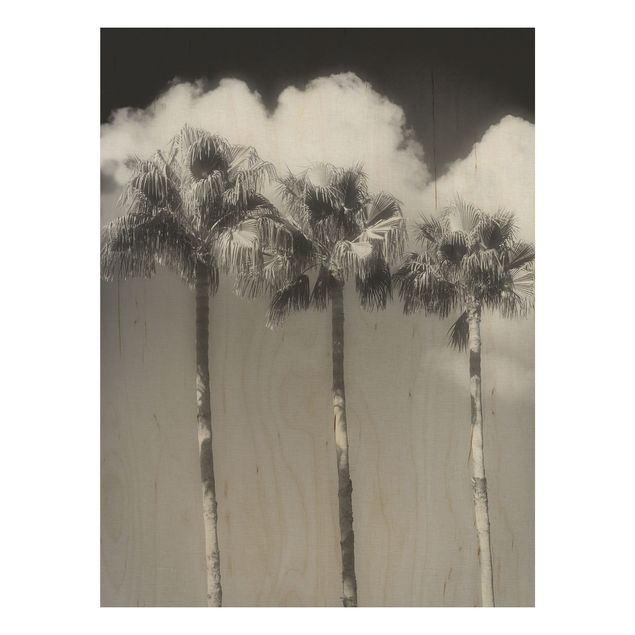 Holzbild Natur Palmen vor Himmel Schwarz-Weiß