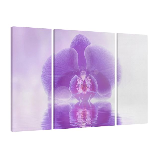 Leinwandbilder Wohnzimmer modern Lila Orchidee auf Wasser