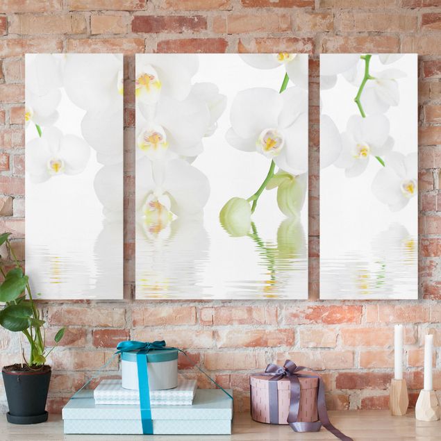 Wandbilder XXL Wellness Orchidee - Weiße Orchidee