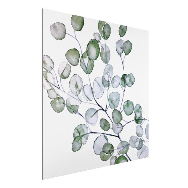 Wandbilder Grünes Aquarell Eukalyptuszweig