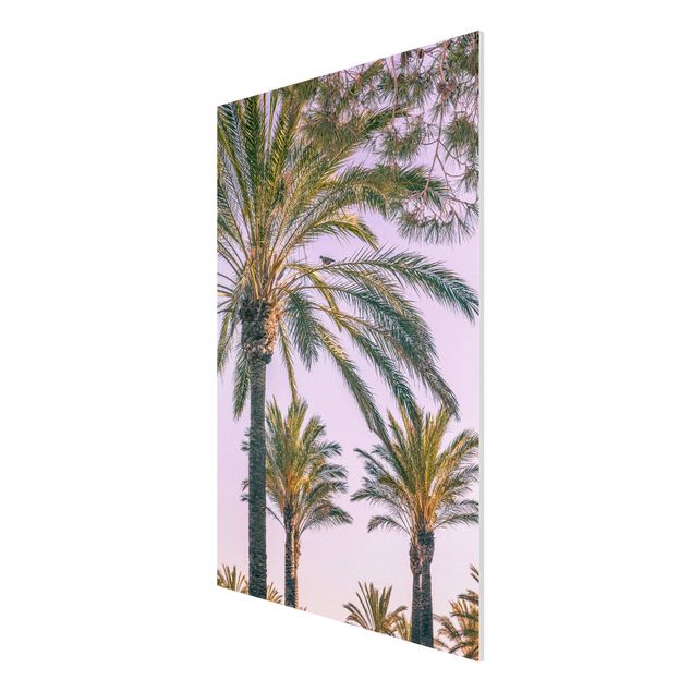 Forex Fine Art Print - Palmen im Sonnenuntergang - Hochformat 3:2