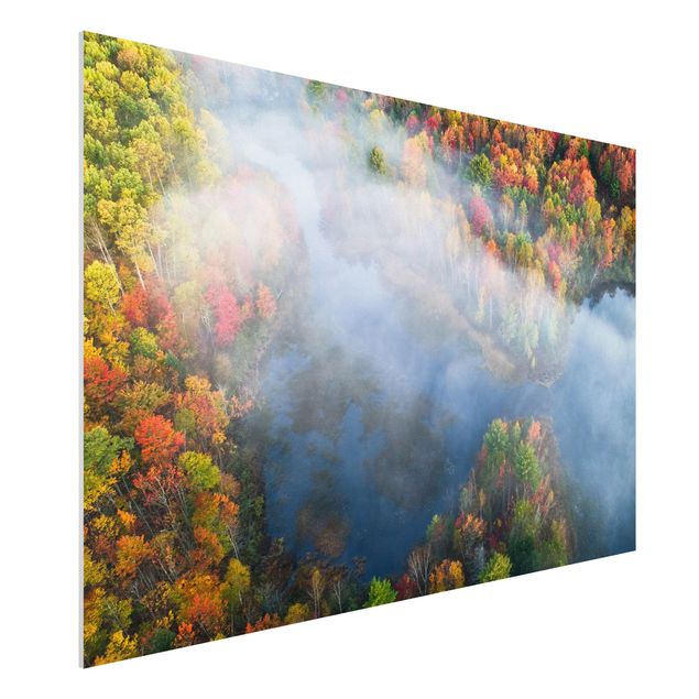 Bilder auf Hartschaumplatte Luftbild - Herbst Symphonie
