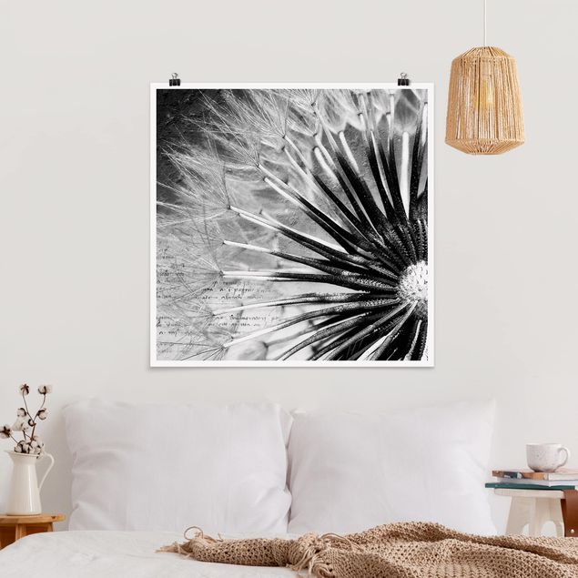 Wandposter Schwarz-Weiß Pusteblume Schwarz & Weiß