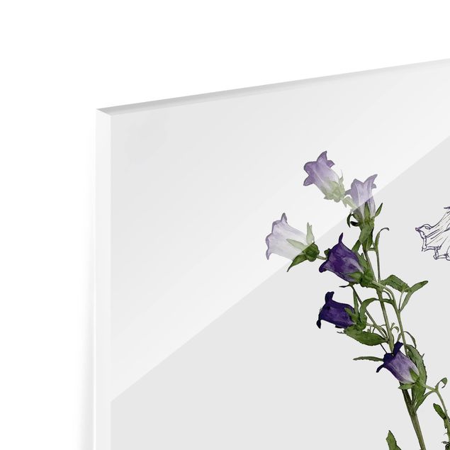 Glas Spritzschutz - Botanisches Aquarell - Glockenblume - Quadrat - 1:1