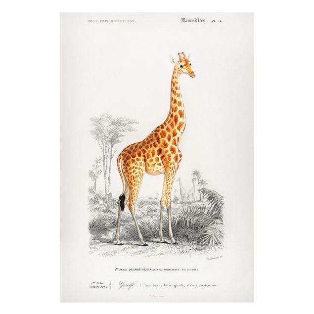 Magnettafel Büro Vintage Lehrtafel Giraffe