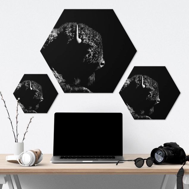 Hexagon Bild Alu-Dibond - Bison vor Schwarz