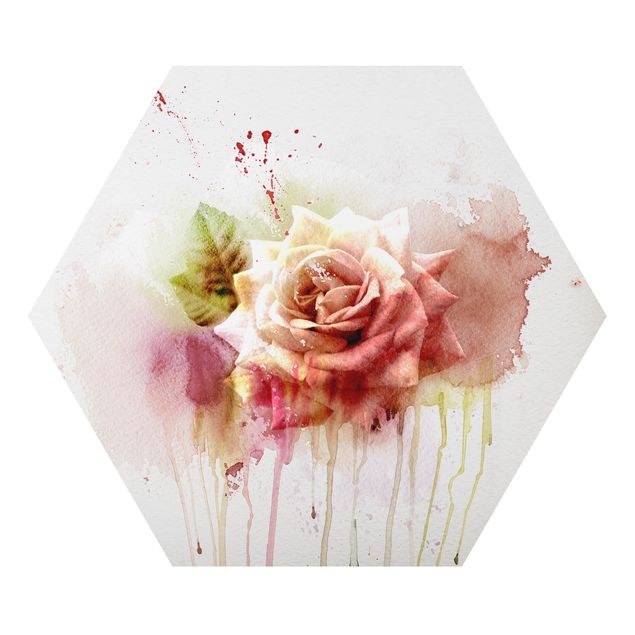 Hexagon Bild Alu-Dibond - Aquarell Rose