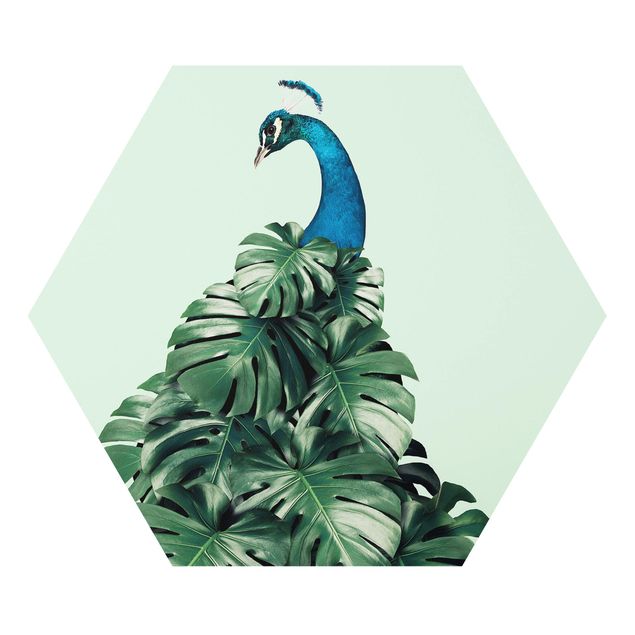Hexagon Bild Forex - Jonas Loose - Pfau mit Monstera Blättern