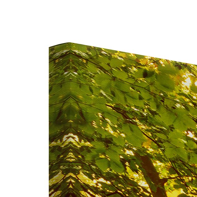Leinwandbild 3-teilig - Herbstwald - Collage 1
