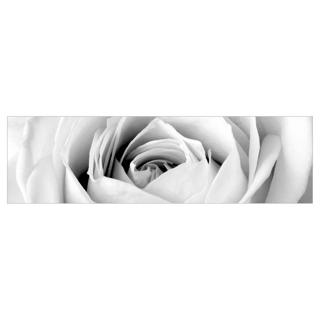 Klebefolien Close Up Rose