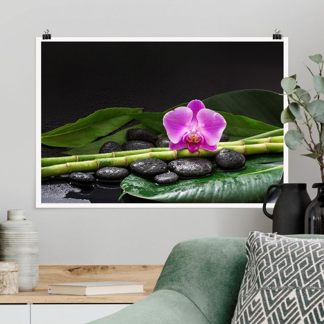 Blumen Poster Grüner Bambus mit Orchideenblüte