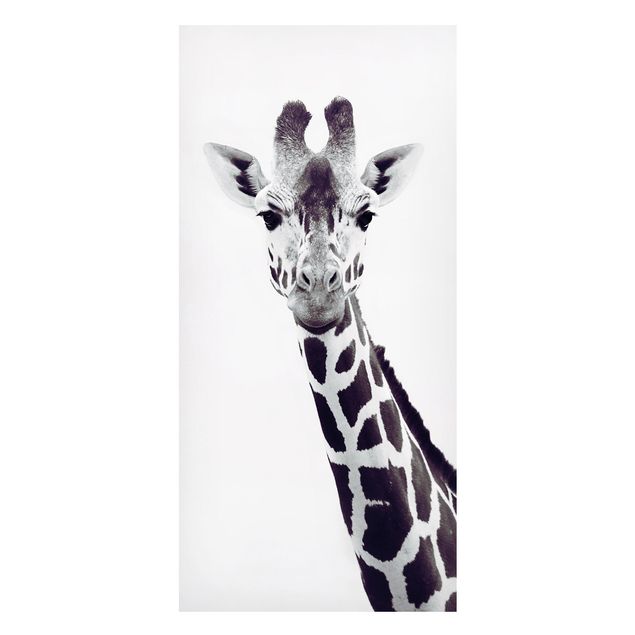 Magnettafel Büro Giraffen Portrait in Schwarz-weiß