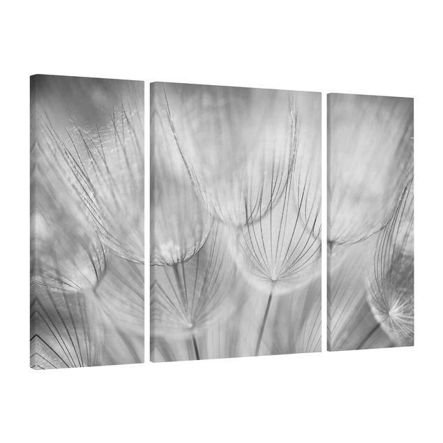 Wandbilder Schwarz-Weiß Pusteblumen Makroaufnahme in schwarz weiß