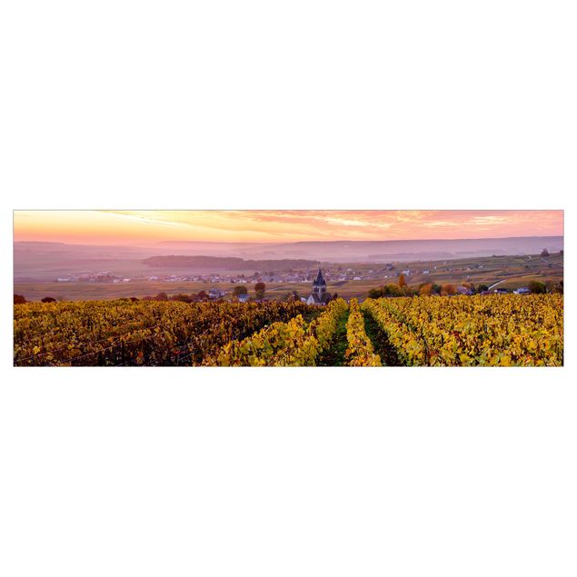 Selbstklebende Folie Weinplantage bei Sonnenuntergang