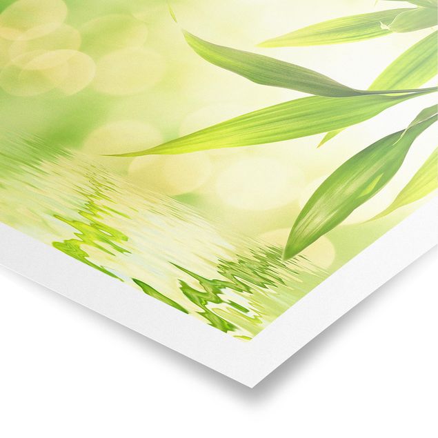 Poster - Green Ambiance I - Quadrat 1:1