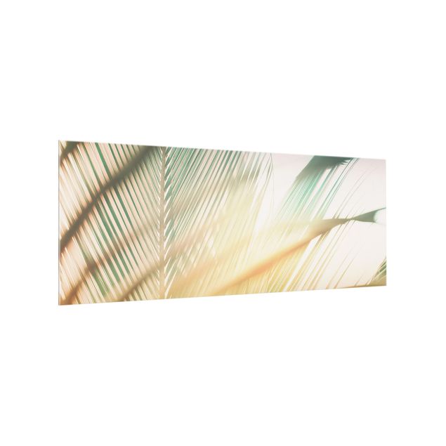 Küchenrückwand Glas Landschaft Tropische Pflanzen Palmen bei Sonnenuntergang II
