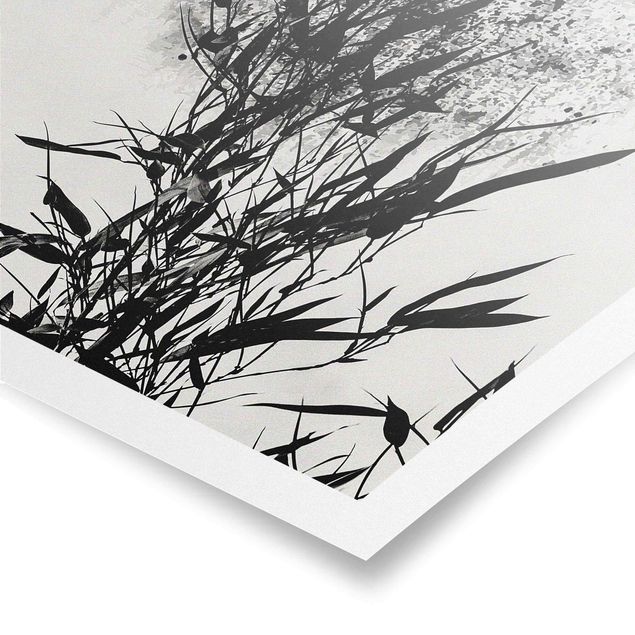 Poster kaufen Grafische Pflanzenwelt - Schwarzer Bambus