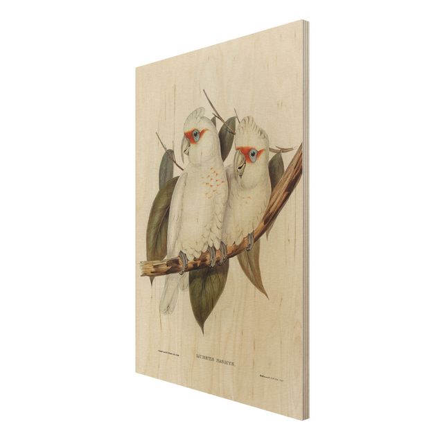 Moderne Holzbilder Vintage Illustration Weißer Kakadu