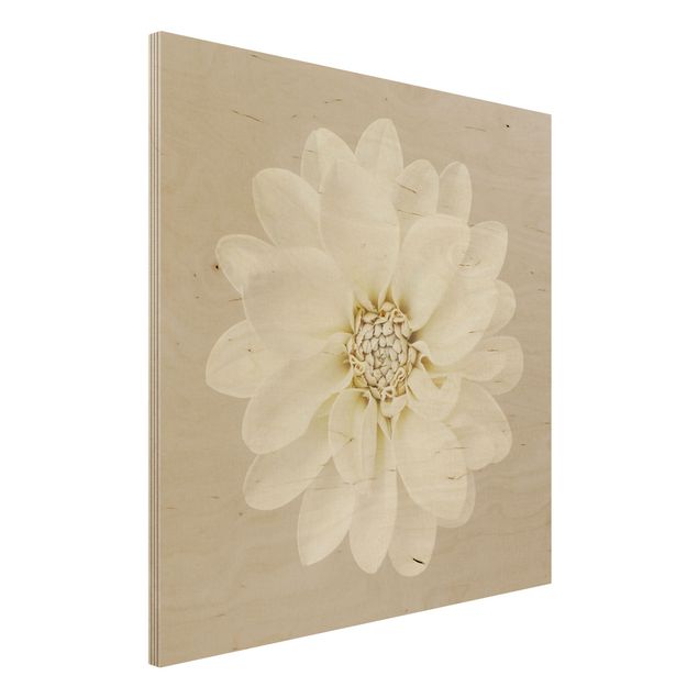 Holzbilder mit Blumen Dahlie Weiß Taupe Pastel Zentriert