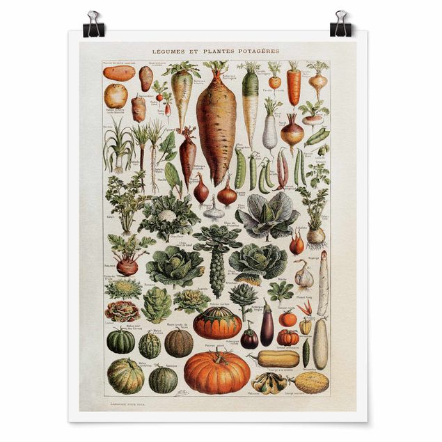 Schöne Wandbilder Vintage Lehrtafel Gemüse