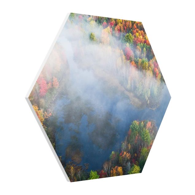 Hexagon Bild Forex - Luftbild - Herbst Symphonie