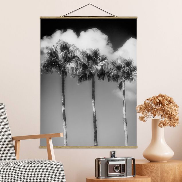 Bilder für die Wand Palmen vor Himmel Schwarz-Weiß