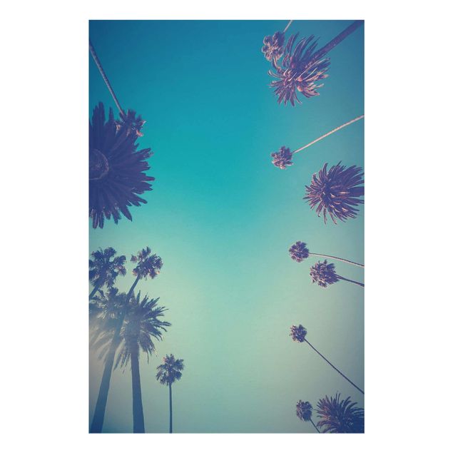 Bilder auf Glas Tropische Pflanzen Palmen und Himmel II