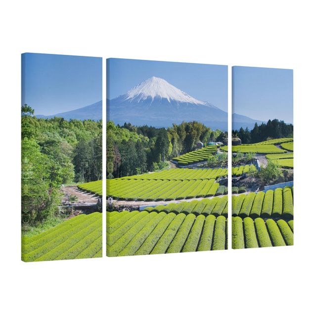 Moderne Leinwandbilder Wohnzimmer Teefelder vor dem Fuji