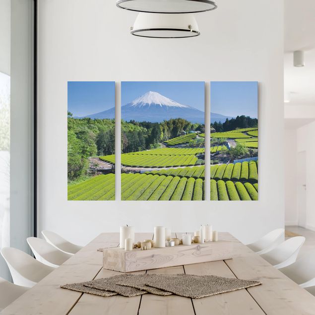Leinwandbilder Landschaft Teefelder vor dem Fuji