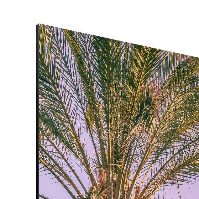 Aluminium Print gebürstet - Palmen im Sonnenuntergang - Hochformat 4:3