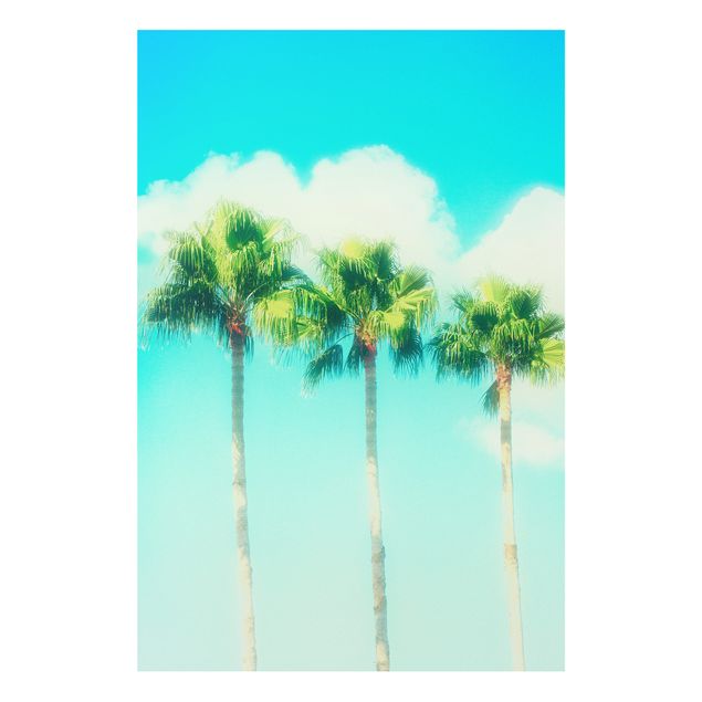 Wandbilder Palmen vor Himmel Blau