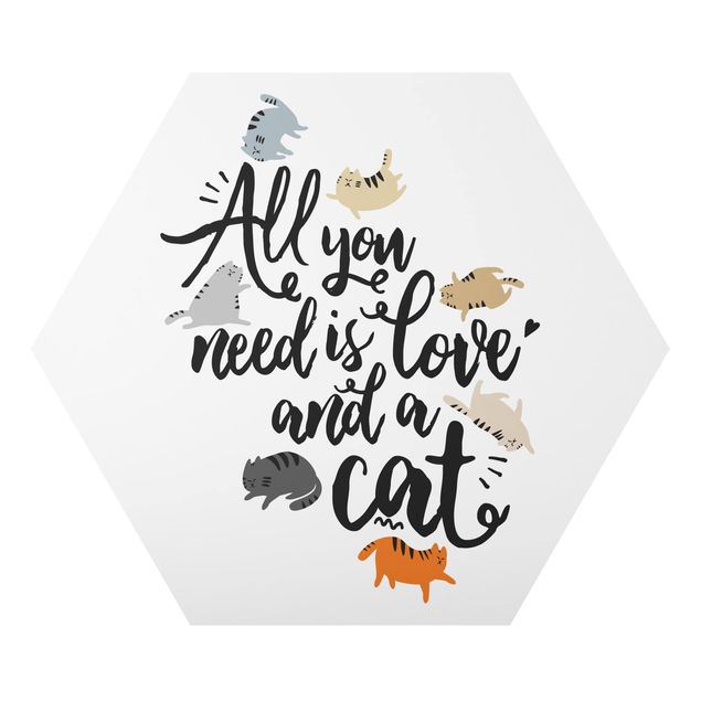 Hexagon Bild Alu-Dibond - All you need is love and a cat
