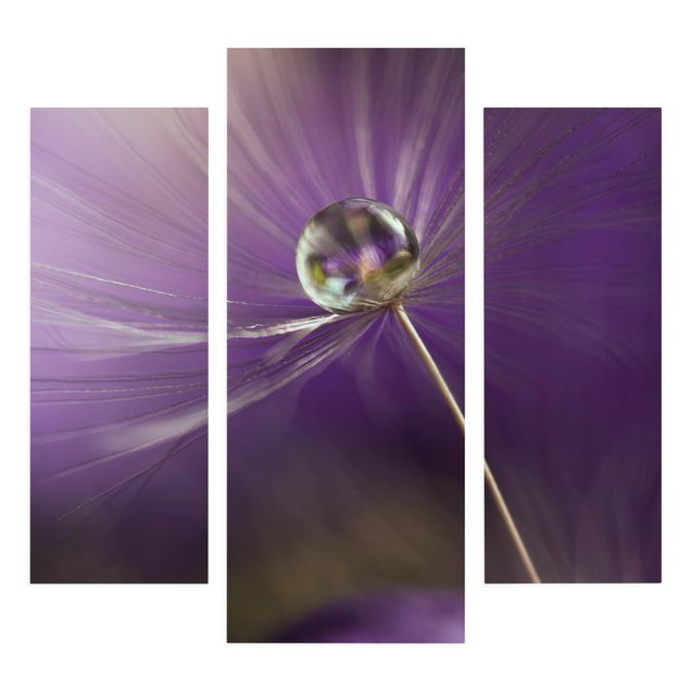 Bilder für die Wand Pusteblume in Violett