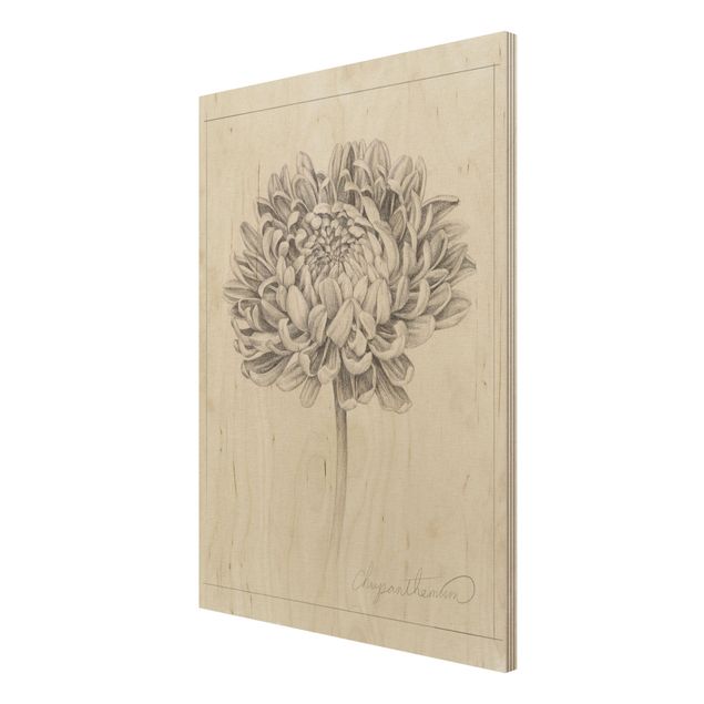 Moderne Holzbilder Botanische Studie Chrysantheme II