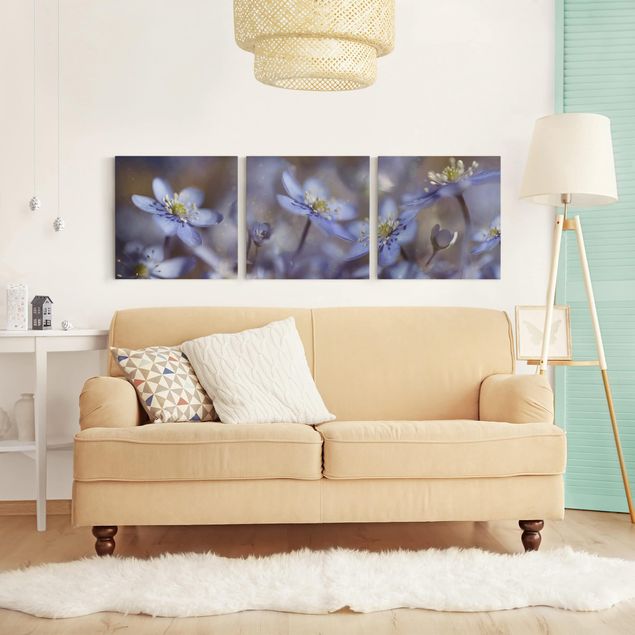 Leinwandbilder Wohnzimmer modern Anemonen in Blau
