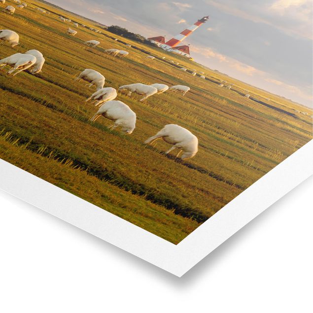 Poster Nordsee Leuchtturm mit Schafsherde