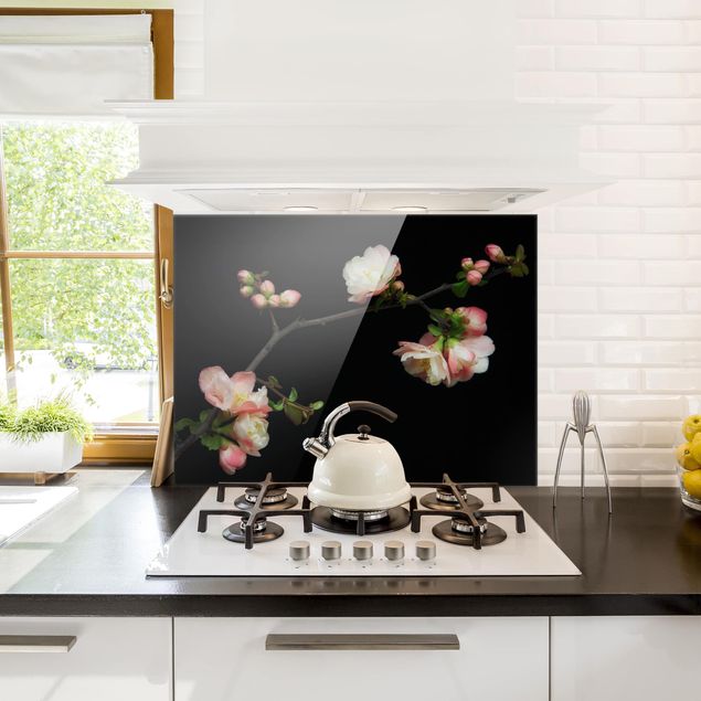 Küchenrückwand Glas Blumen Blütenzweig Apfelbaum