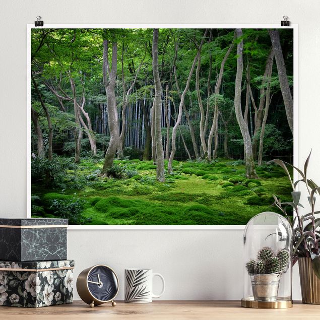 Poster Landschaft Japanischer Wald