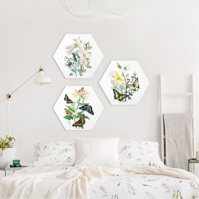 Schöne Wandbilder Britische Schmetterlinge Set I