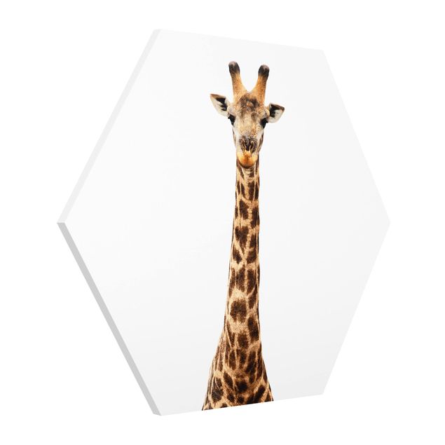 Bilder für die Wand Giraffenkopf